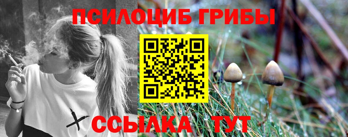 Галлюциногенные грибы ЛСД  где продают   Вход с VPN  Благовещенск  Галлюциногенные грибы MAGIC MUSHROOMS 