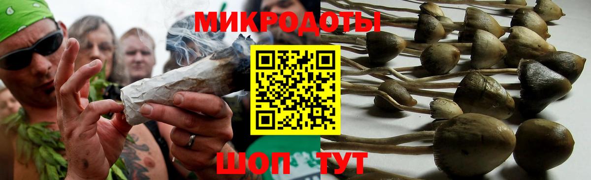 Галлюциногенные грибы прущие грибы Благовещенск